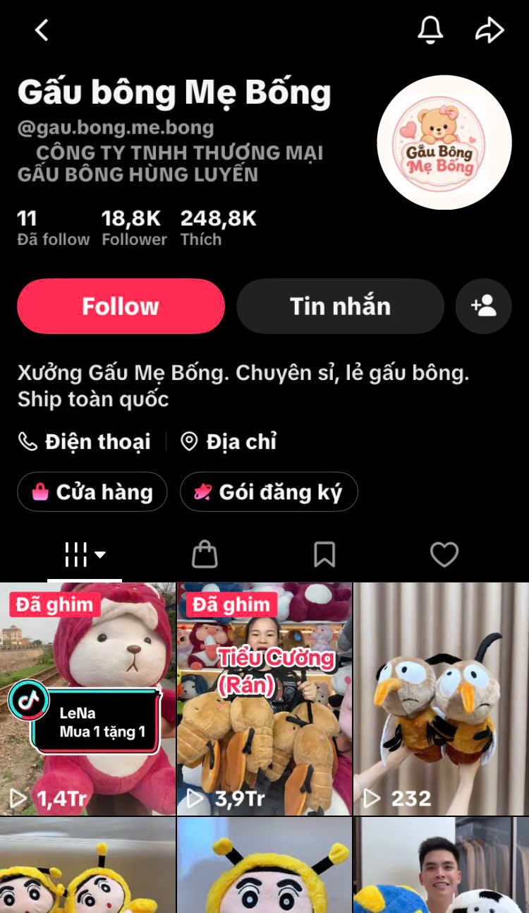Kênh TikTok học viên Gấu bông Mẹ Bống